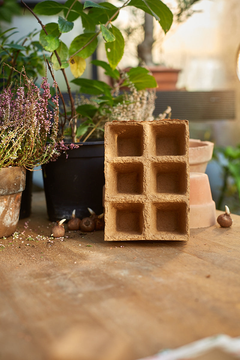 Firkantet fiberpottebakke 6 x 6 cm. 48 stk. (6 x 8 stk)